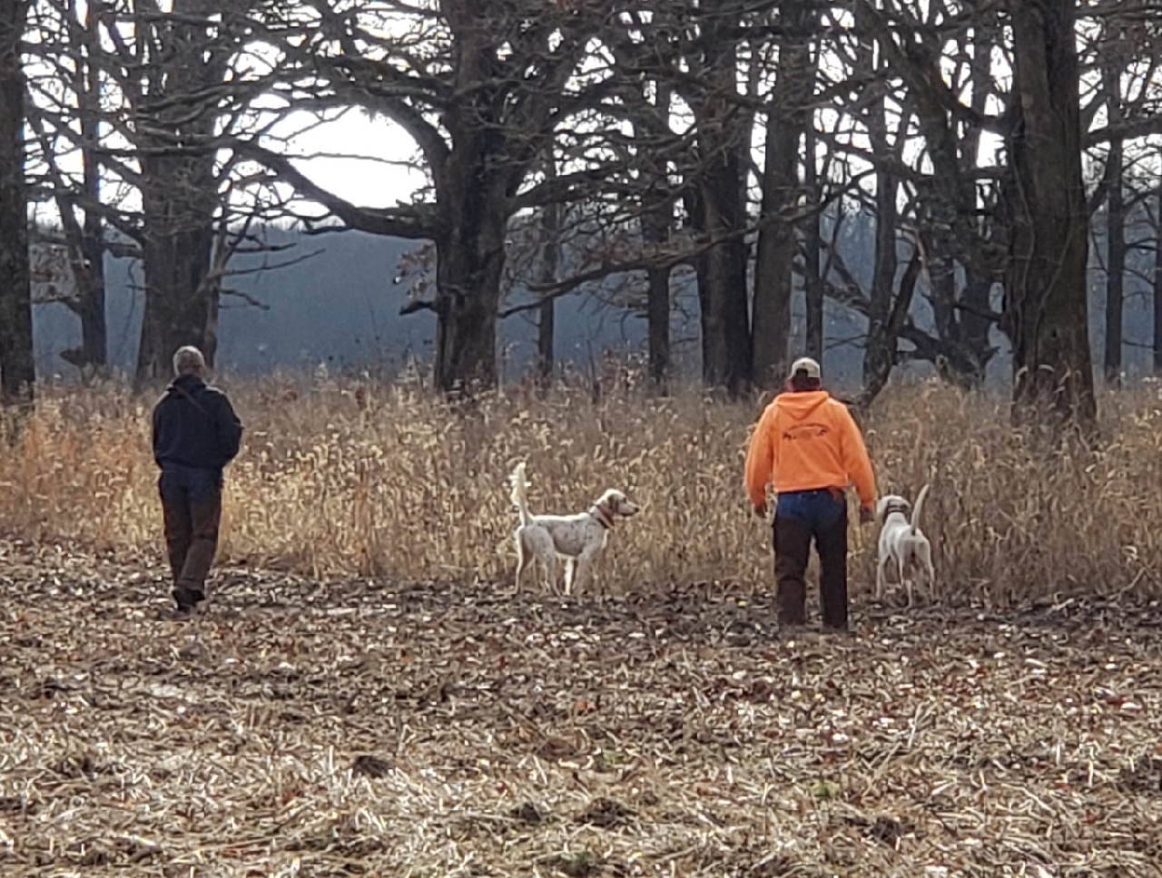 Mid South Bird Hunter Club spring results