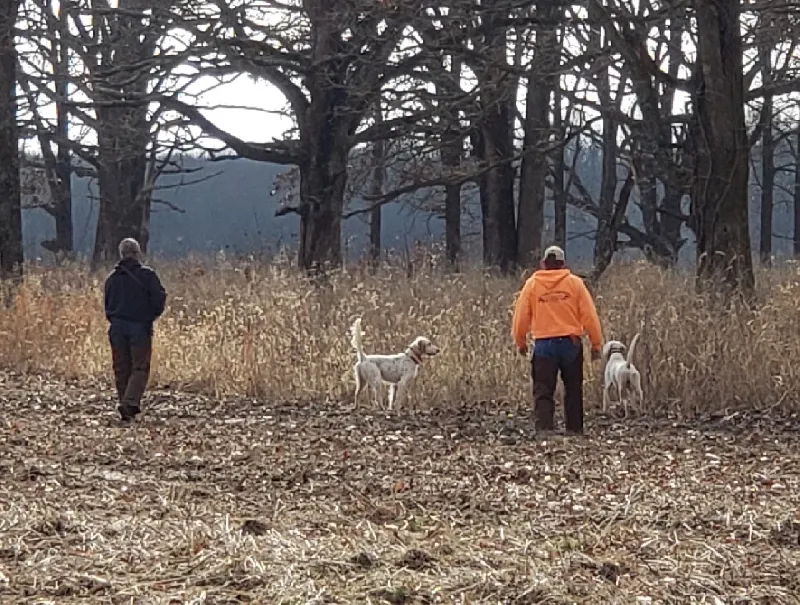 Mid South Bird Hunter Club spring results